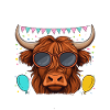Abuela du garçon d’anniversaire