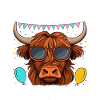 Maman du garçon d’anniversaire