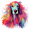 Afghan Hound