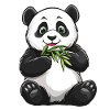 Panda bear with bamboo