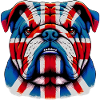 Bouledogue anglais Chien