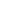 Sim Racing