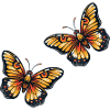 Butterflies