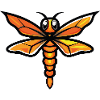 libellule
