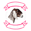 Nubian Goat Lover's Pride
