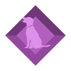 Dog Training Dog School