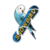 SNOWBIRD (snowboard, ski, surf)