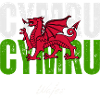 Flag of Wales, Welsh pride
