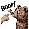 BEAR LOVE