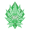 Kush
