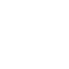 Morkie