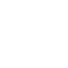 Couronne de crâne de roi