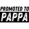 Promoted to Pappa