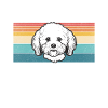 Cadeaux Bichon Frisé