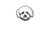 Cadeaux Bichon Frisé