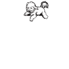 Bichon Frise Gifts