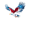 Frankfurt Eagle Colori FFM Patriots