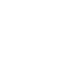 Frankfurt Skull Crown FFM Patriots