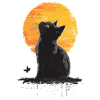 Cat Cats Kitten Male