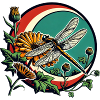 Libellule