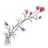 Flowing Summer flowers