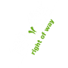 White bull