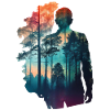 Forest silhouette at dusk