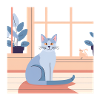 Blue Cat by Window Afternoon