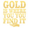 Gold Rush Adventure Gold Prospector Treasure Hunt