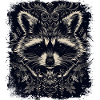 Raccoon Art
