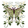 Butterfly Moth Butterfly