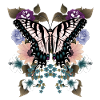 Butterfly dovetail with flowers