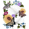 Books with flowers and butterflies