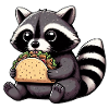 Waschbär isst Taco