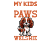 Welsh Springer Spaniel Dad