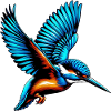 Kingfisher