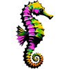 Seahorse