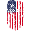 usa you Missed
