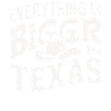 État du Texas Texans Texas