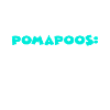 Pomapoo Pom-A-Poo