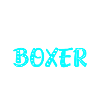 Boxer Dog