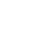 Norwich Terrier