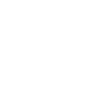 Boykin Spaniel