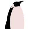 Kaipin b n