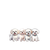 Cadeaux Bichon Frisé