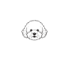 Bichon Frise Gifts