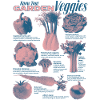 Garden Vegetables Collection