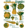 Collection Garden Veggies Vegetable Design