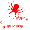 Halloween Spider Spooky Time