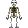 Skeleton Comic Halloween